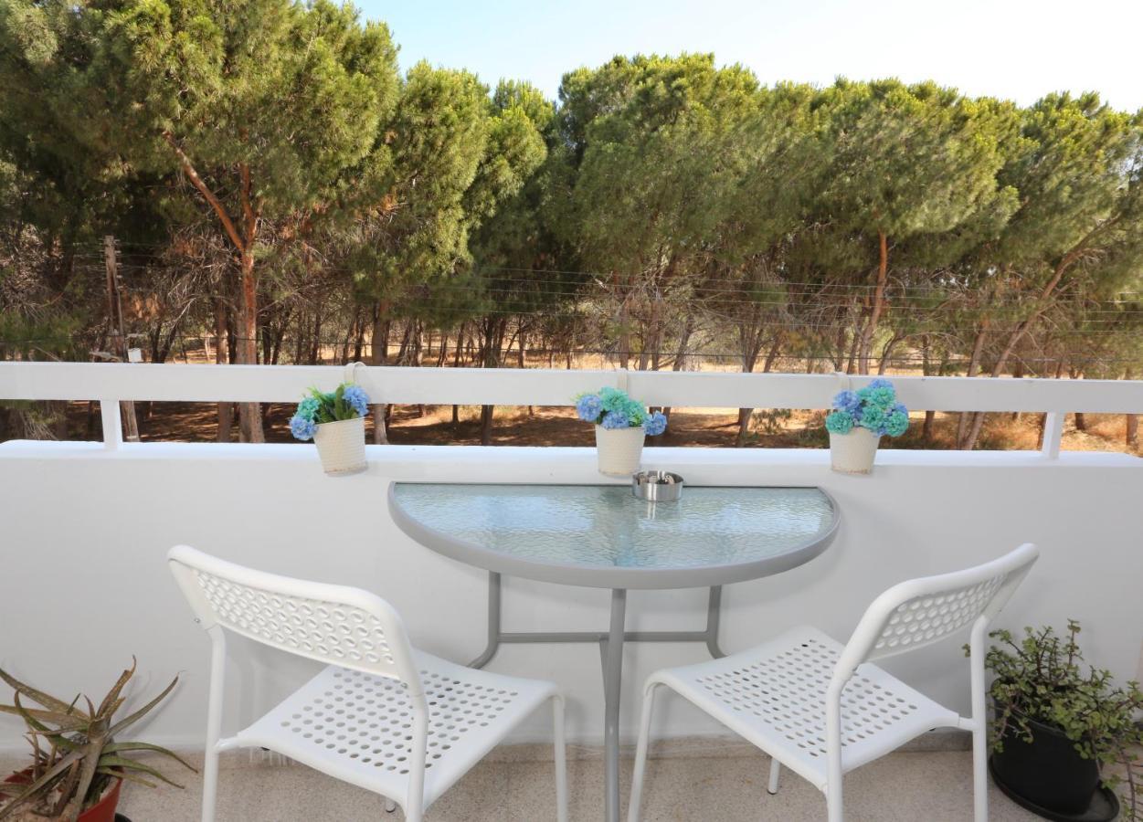 Cozy Holiday Apartment In Larnaca Near Foinikoudes Eksteriør bilde
