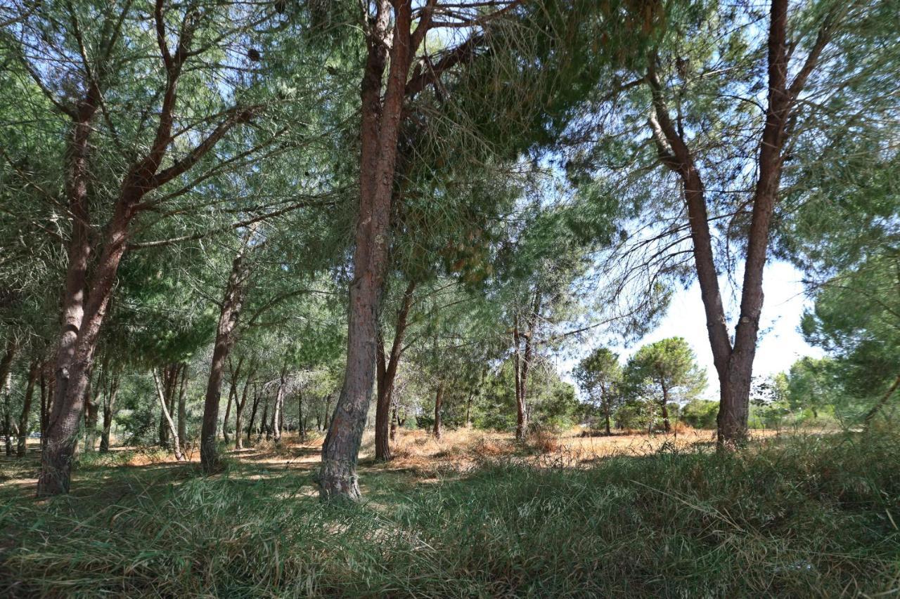 Cozy Holiday Apartment In Larnaca Near Foinikoudes Eksteriør bilde